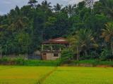 House for sale in Matale