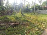 Land For Sale In Homagama,Heraliyawala