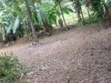 Land for Sale In Meegoda,Homagama