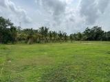Prime Investment Land for Sale – Ranala, Kaduwela