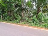 Land For Sale In Gampaha