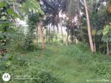 Land Sale In Kosgama