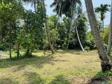Land For Sale In Diwulapitiya