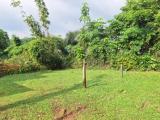 Land For Sale In Delgoda