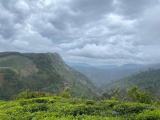 Ambewela Estate Land” for Sale – Rendapola Road, Nuwara Eliya.